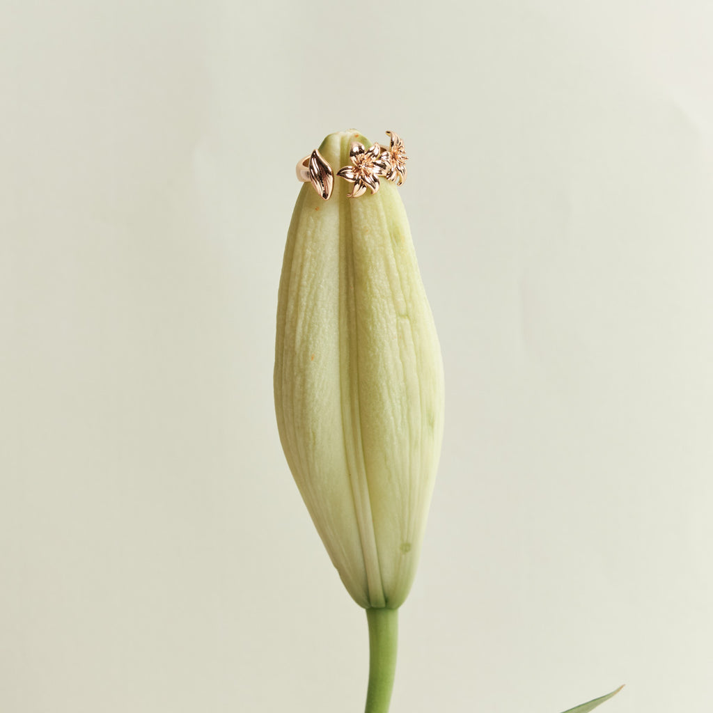 Anel Gardênia